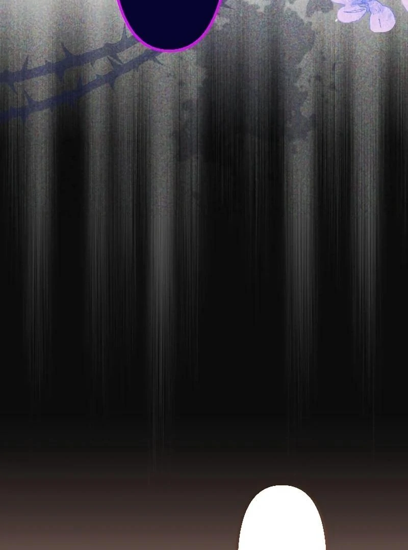 71590101 800 1080 48956